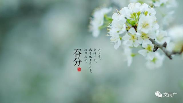 春分至万物生(图1)