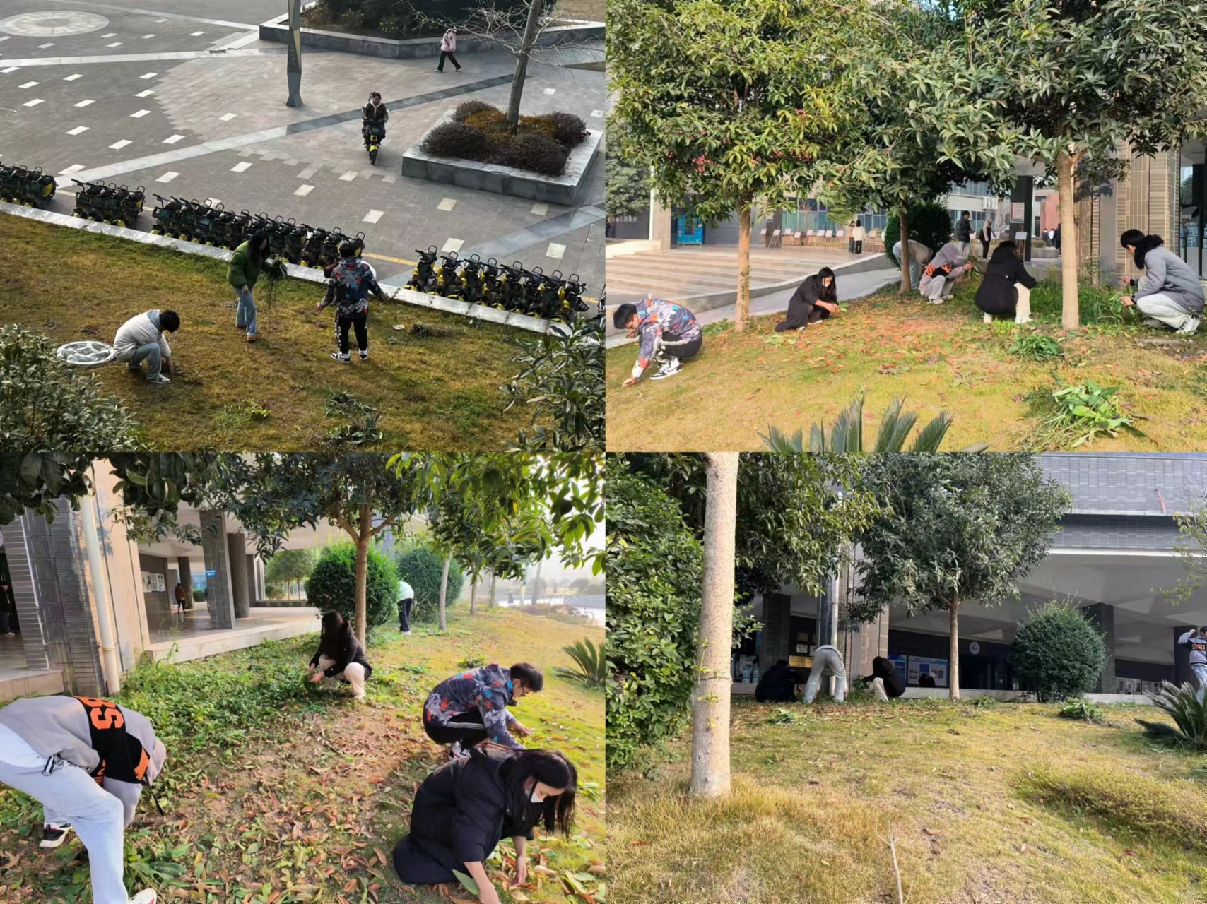 信息与通信学院积极组织学院学生参与校园除草活动(图2)